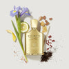 Gold Creed perfume bottle with flowers, lemon, and stones on a light background