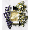 Perfume bottle with lavender and orange blossom flowers on a white background